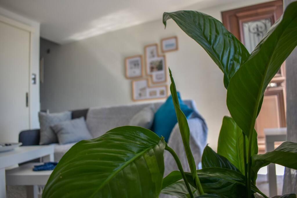 Celeste House Myrties Екстер'єр фото